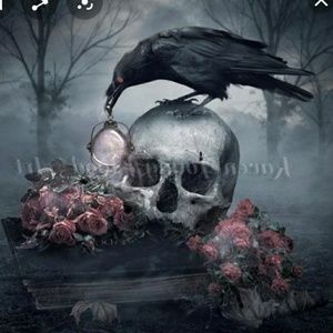 Meet your Posher, Tabitha